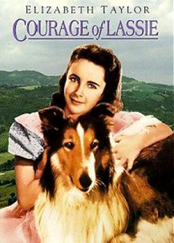 Movies and TV show about Lassie the dog - full list