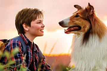 Movies and TV show about Lassie the dog
