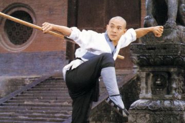 The Shaolin Temple Movies In Order